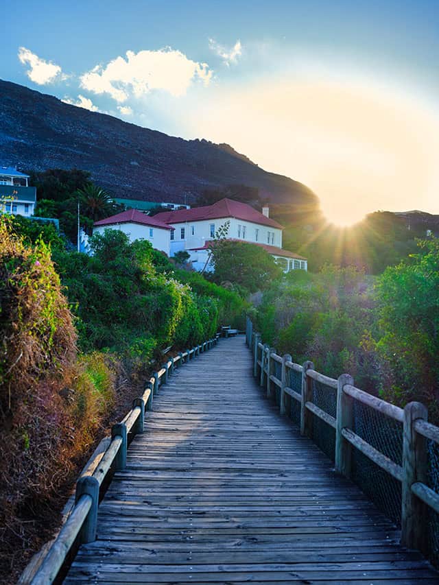 Social media draws travel customers in South Africa